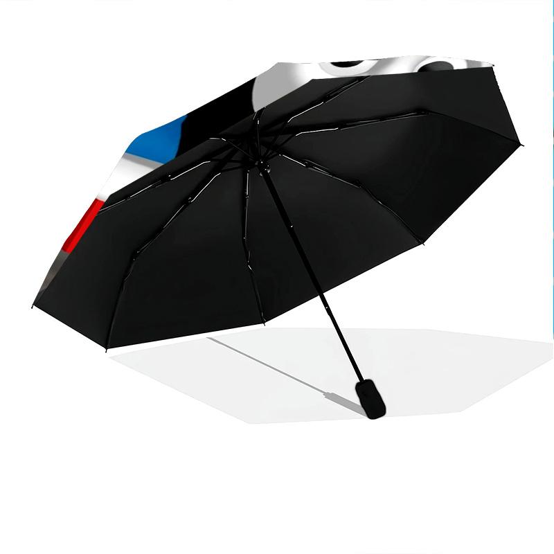 Thomas Trains Bridge Folding Umbrella Suitable For All Seasons Suitable For All Seasons Gift Travel Travel Umbrella