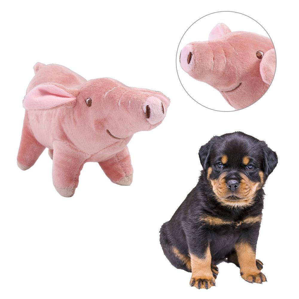 Indoor Play Molar Tooth Puppy Dog Sleeping Toy Dog Chew Toys Chew Training Toy Pet Supplies