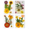 Elegant Natural Pressed Flower 32 Pieces 4 Pack Materials Dried Florals For Resin Art Jewelry Making Projects A0KF