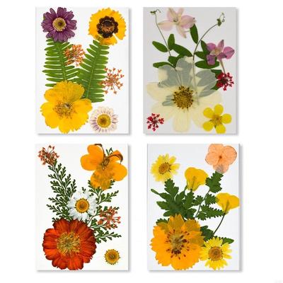 Elegante natürliche gepresste Blumen 32 Stück 4er-Pack Materialien getrocknete Blumen für Resin Art Schmuckherstellungsprojekte A0KF