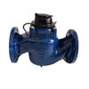 Detang DN80 Water Meter