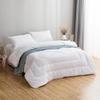 LUOLAI Qinxin Antibacterial Polyester Winter Quilt