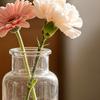 Yousheng Small Vases for Flowers, Mini Clear Glass Bud Vases, Mini Flower Vase for Wedding Table Centerpiece Home Decor,