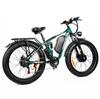 Baolujie DP-2603-DJ 1500*2 Dualmotor Elektrofahrrad 52V25AH Akku 26 Zoll Verbreiterter All-Terrain-Reifen E-Mountainbike Für Erwachsene
