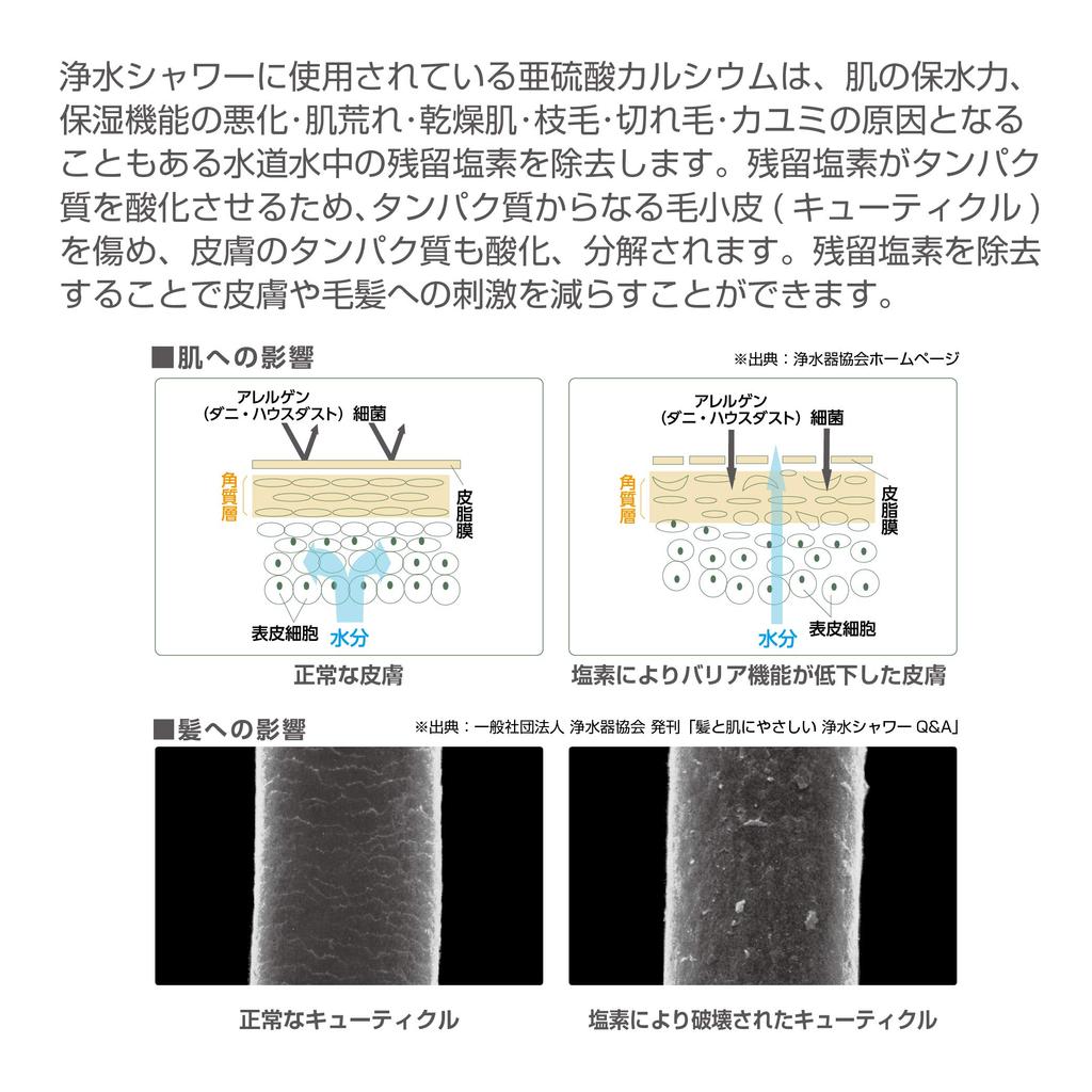 SANEI Company Sanei Faucet Water Purification Switching Shower Recommended by Japan Atopy Chlorine Water 1 Cartridge (former Name Manufacturing)