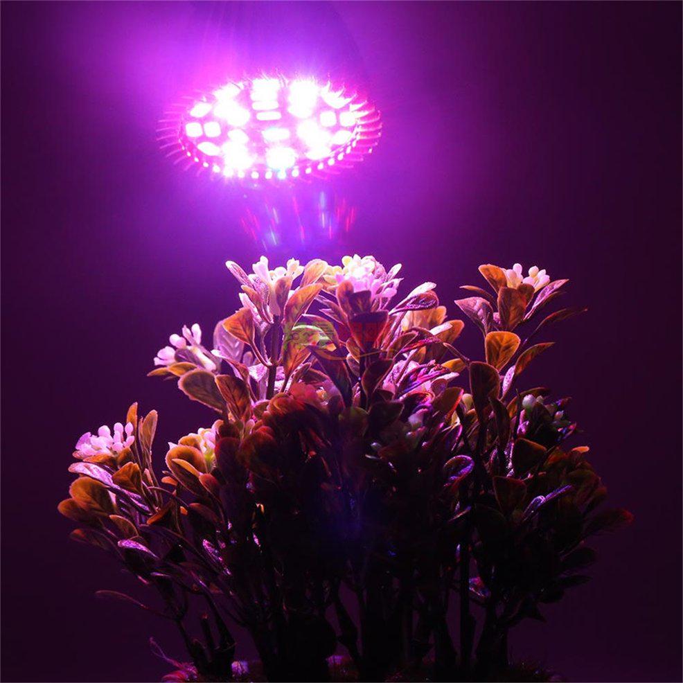 Buy LUCKY Full Spectrum E27 LED Grow Light Growing Lamp Light Bulb For ...