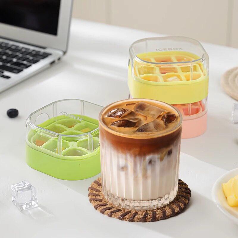 Ice Cube Mold and Storage Set