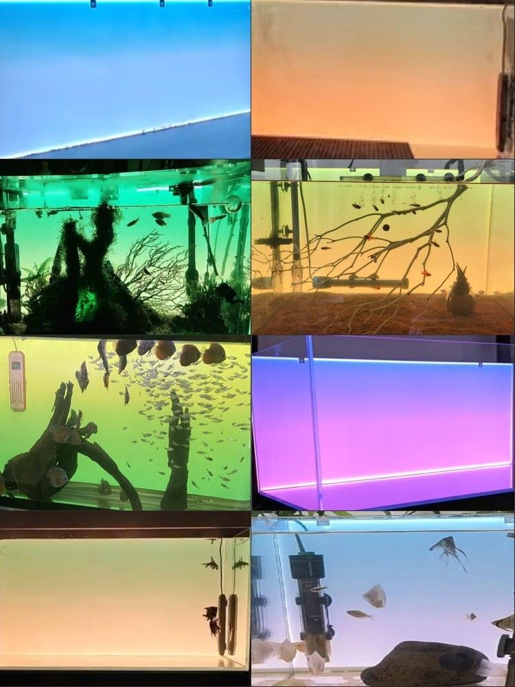 RGBW Acrylic LED Background Light for Fish Tank Landscaping