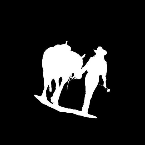 Creative Water Resistant Cowgirl Car Sticker Decal Vehicle Guitar Suitcase Decor