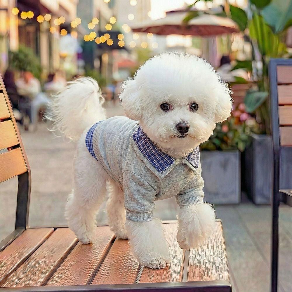 Soft Dog Pullover False Two-piece Two Legs Dog Clothes Fashion Pet Dog Hoodie Small Dogs Cats