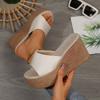 Foreign Trade 2025 Summer Thick-soled Slippers Women's Shoes European and American Waterproof Platform Thick-soled Outer Wear Slippers with Slippers