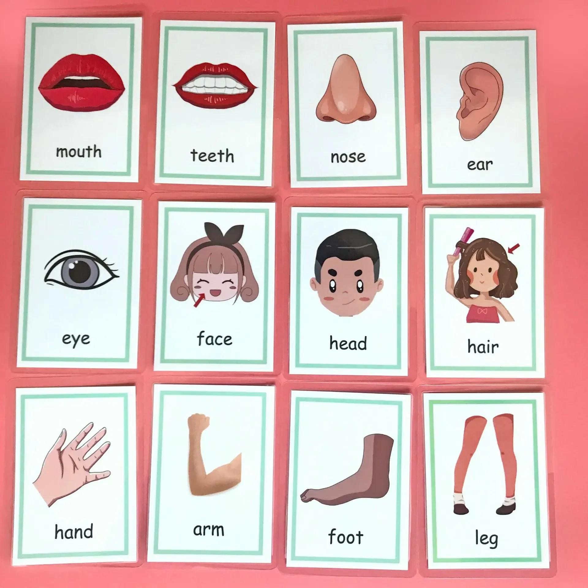 

12 шт. детские игрушки Монтессори изучение английского языка карточки со словами цветные флеш-карты дети цвет познание память образовательная игрушка