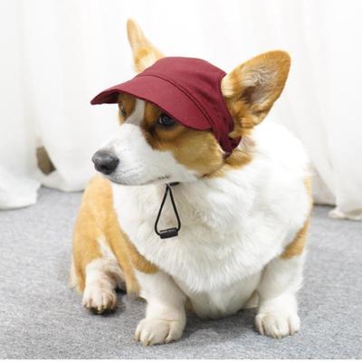 Canvas Dog Baseball Cap with Ear Holes – Comfortable, Adjustable, Fashionable, Ideal Hat for