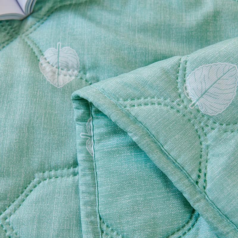 Zmn Mint Cooling Summer Quilt