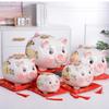 Home Big Money Box Piggy Banks Children Coin Piggy Bank Molds Cute Box Money Boxes Mistery Coin Jar Atm Spaarpot Children Gifts