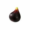 GuCra Fig Fruit Model, 10-Pack Food Sample (EX)