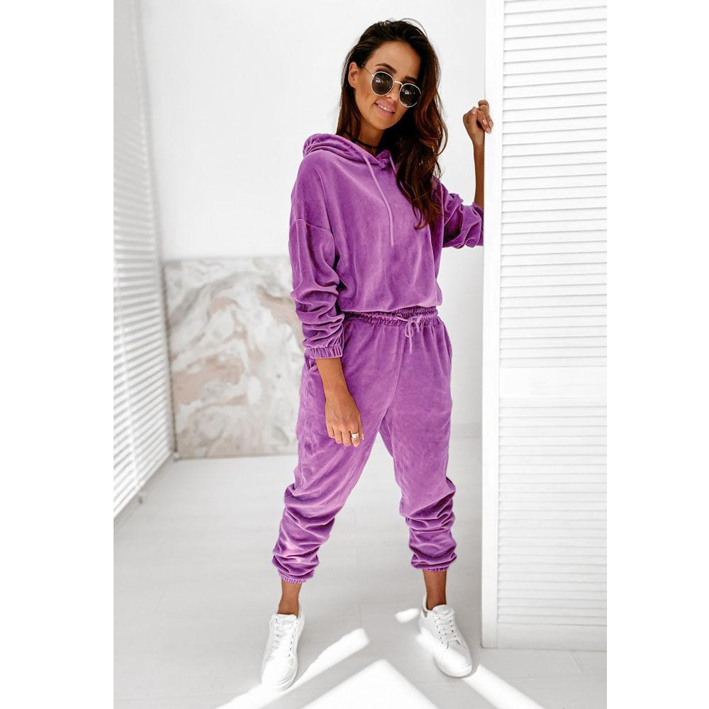 Velvet Material Women 2 Piece Set Casual Sport Outfits Tracksuit Hoodies Sweatshirt+Pants Spring Sportswear Running Sets