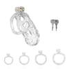 Male Chastity Cage Mirror Crafted 4 Size Rings Bondage Cock Cage Abstinence Anti-Escape Penis Locks Adult Sex Shop 2.0 Arc Ring