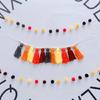Nordic Hanging Tassel for Nursery Decor Bunting Birthday Party Decorations Carni
