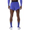 Asics Elastischer Bund Logo Freizeitshorts Unisex Shorts 2091A854-415