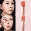 8/10 Stück Make-up Pinselset Professionell Superweich Detailpinsel Rougepinsel Foundation Concealer Lidschattenpinsel Beauty-Tools