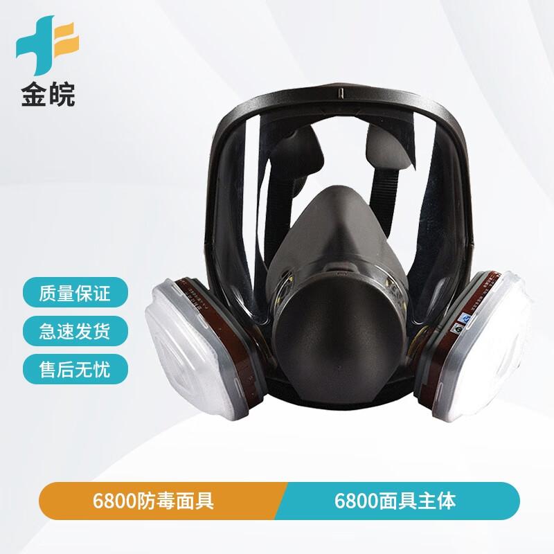 Jinwan 6800 Full Face Gas Mask