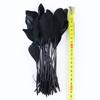 50Pcs Natural Black Goose Ostrich Feathers For Jewelry Earrings Making Diy Dream Catcher Decoration Crafts Plume Accessories