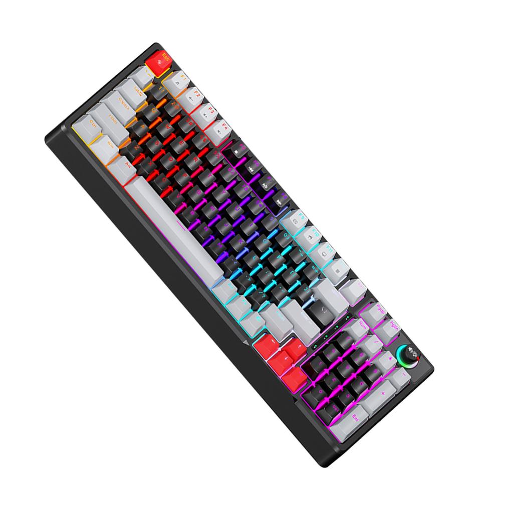 T WOLF T50 RGB Mechanische Tastatur 98 Tasten Hot-Swap Blue Switch mit Dynamischer Beleuchtung Ergonomisches Design für PC