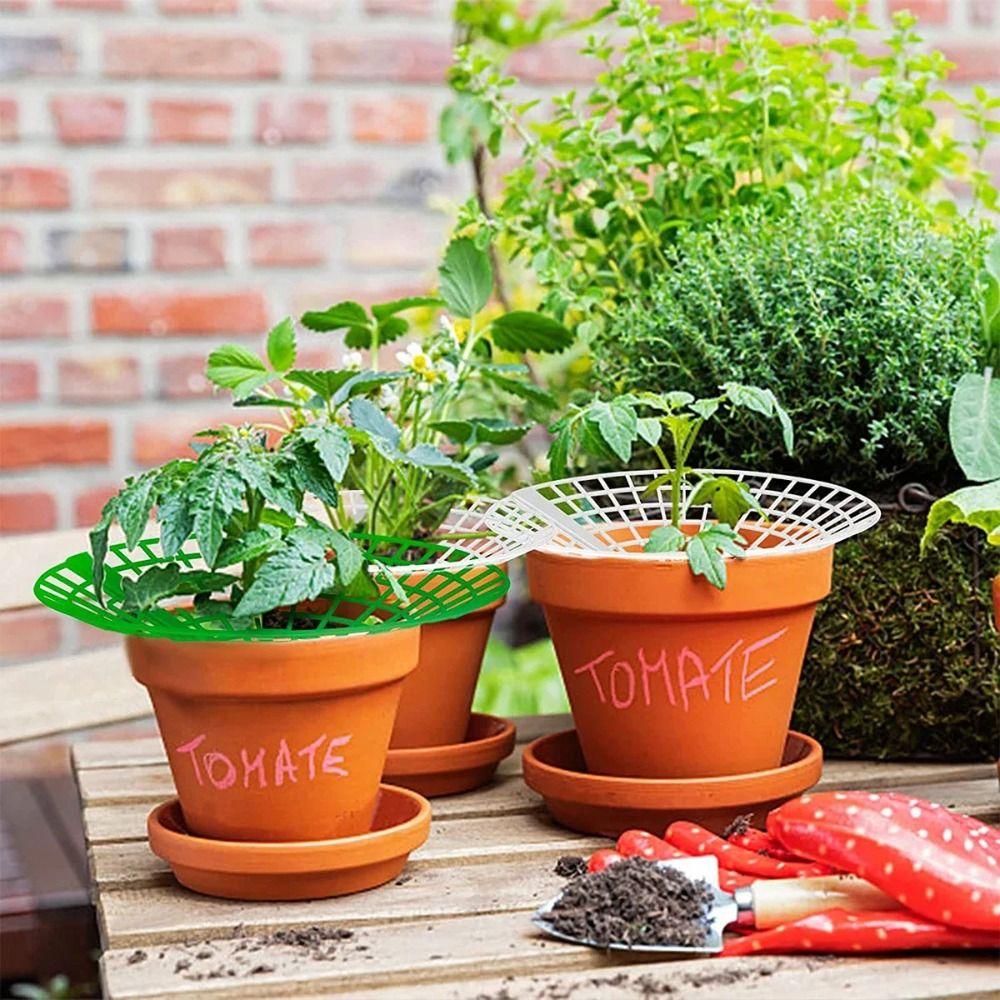 1/3Pcs Round Plant Tray Stand for Protecting Strawberries from Mold Rot and Dirt