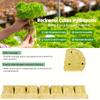 100pcs Rockwool/ Stonewool Starter Cubes for Cuttings, Plant Propagation, And Seed Starting, Plant Germination Equipment