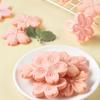 Lot de 5 moules à biscuits Sakura en forme de fleur de cerisier, roses, fondants, à biscuits aux canneberges, à presser, à pâtisserie