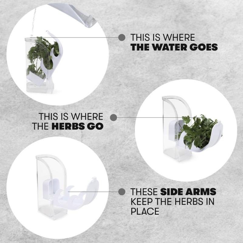 Herb Crisper Saver Container Refrigerator Side Opening Container Herb Vegetable Keeper Fresh Bottle Kitchen Gadgets