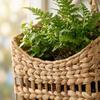 Hand-woven Indoor Decorative Storage Baskets And Desktop Clutter Storage Baskets