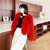 Imitation Fox Hair Autumn and Winter Temperament Plush Jacket Socialite Fashion Imitation Short Jacket