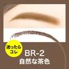 Maybelline Fashion Brow Powder In Pencil N Set with Refill BR-2 Natural Brown