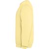 Roly Unisex Adult Jaya Crew Neck Sweatshirt