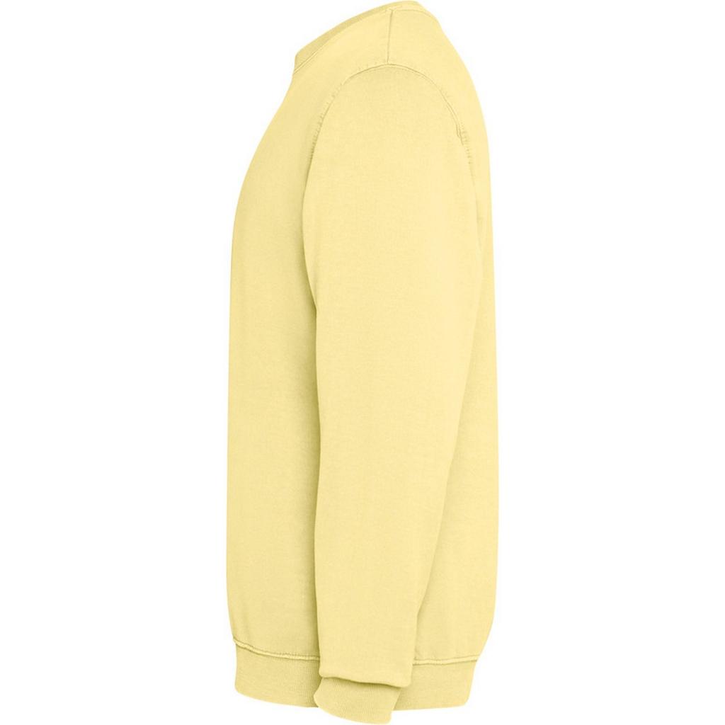 Roly Unisex Adult Jaya Crew Neck Sweatshirt