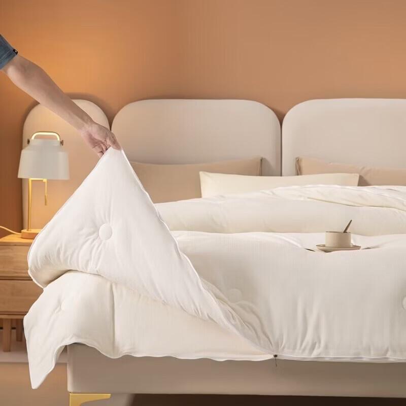 Youmengjiaju Ultra-Soft Soy Fiber Comforter Set