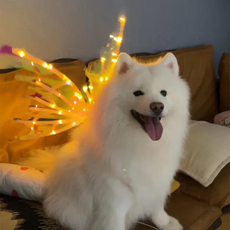 Dog Butterfly Wings Pet Glowing Wings Puppy Summer Clothes Decorative Samoyed Husky Medium Dogs accessories Halloween costume
