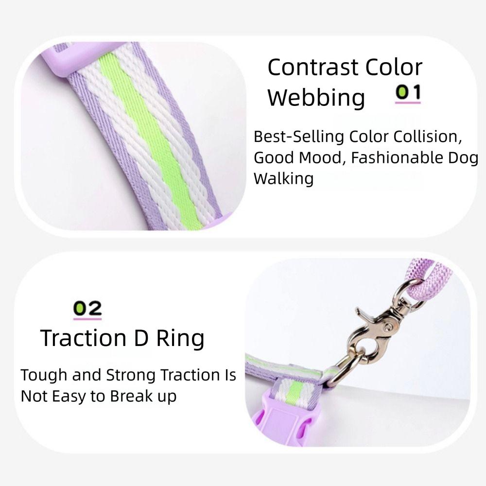 Adjustable Dog Harness and Leash Set Padded Dog Collars Leash Set Pet Walking Vest All Seasons