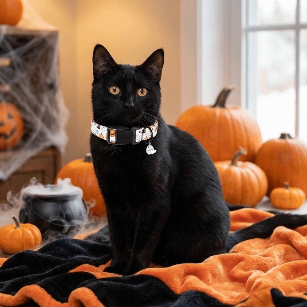 Adjustable Buckle Ghost Pumpkin Pet Collar Decorative Pet Neck Ring Halloween Party