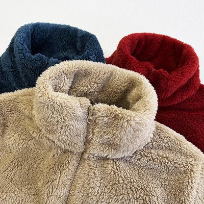 Autumn Winter Women's Long Fleece Fleece Zipper Jacket Warm Double-sided Coral Fleece Fleece Fleece Jacket Oversized Premium Clothing