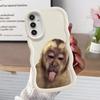 Monkey Drink Trend Case for Samsung Galaxy A11 A16 A52 A12 A15 A21s A13 A14 Soft Phone Cover A03 A33 A53 A05 A23 A22 A06 A04