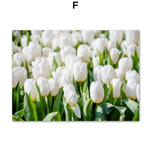 Tulip Flower Canvas Wall Art Pictures Nordic Floral Posters On The Wall Frameless Landscape Paintings for Interior No Frame