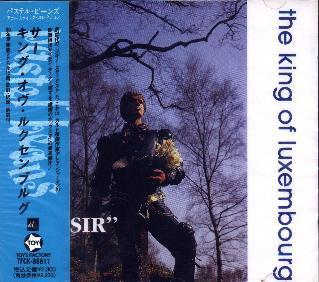 

CD KING OF LUXEMBOURG - Sir TFCK88811 Toy s Factory 1991 Japan Rock Used