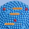 KANSOON Magnetic Acupressure Foot Massage Mat