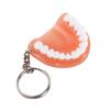 Creative Dental Gift Resin Simulation Teeth Shape Denture Key Chain Teeth Pendant Teeth Keyring Tooth Key Chain