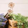 Dandelion Metal Wall Sculpture - Rustic Home Decor