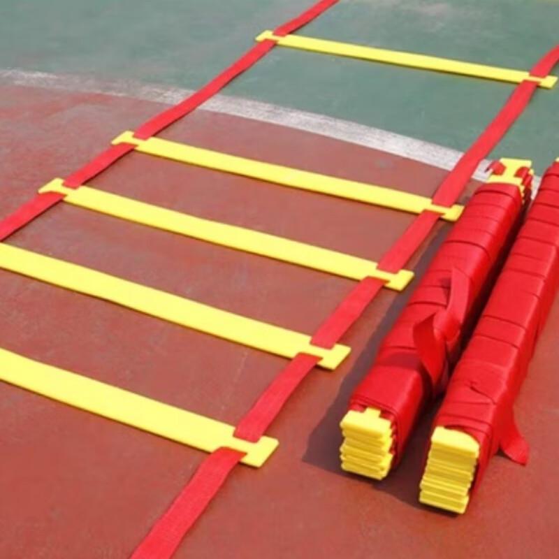 Professional Agility Training Ladder