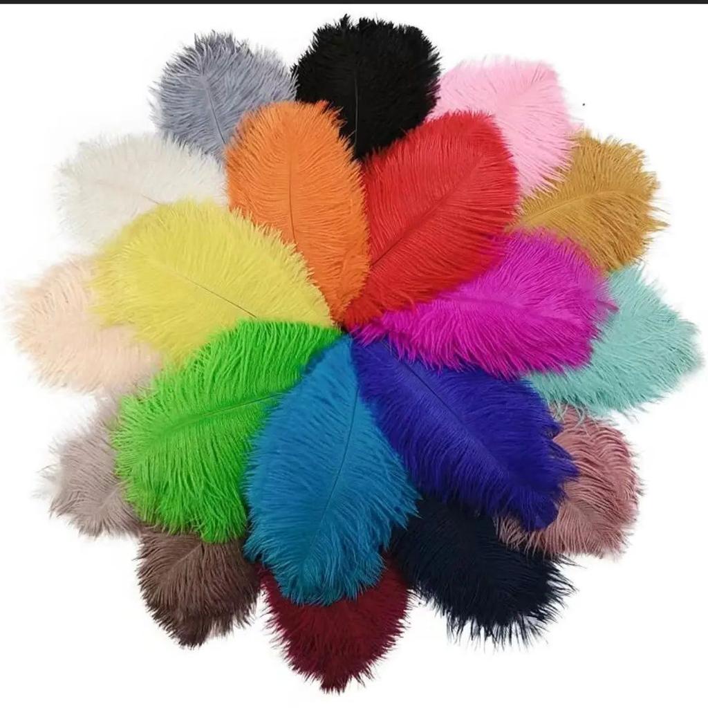 Natural Ostrich Feathers 25-30cm 30-35cm Wedding Decoration Table Centerpieces Carnival Plumas Decor 10pcs/bag Colored DIY Plume
